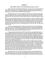 Nâng cao hiệu quả sử dụng vốn tại công ty TNHH đầu tư và phát triển công nghiệp điện AEC