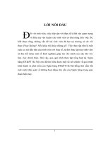 THỰC TẾ HOẠT ĐỘNG CỦA NGÂN HÀNG ĐT & PT TRONG NHỮNG NĂM GẦN ĐÂY 