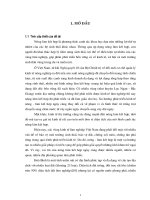 Nghiên cứu các hình thức và xu hướng phát triển nông lâm kết hợp tại tỉnh hoà bình 