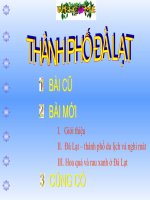 thanh pho da lat.ppt