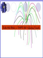 ĐCS Việt Nam ra đời