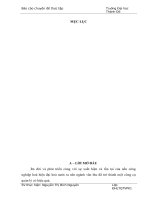 Công tác tổ chức văn thư tại công ty TNHH thương mại quốc tế siêu thị big c thăng long   thực trạng và giải pháp