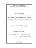 Ảnh hưởng của gonadotropin đến hoạt động buồng trứng và sự thành thục của trứng bò 