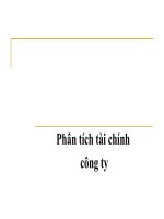 Báo cáo phân tích tài chính công ty 