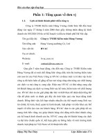 Công tác kế toán tại công ty TNHH Kiểm toán Hùng Vương