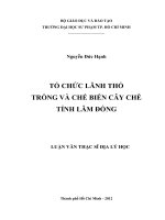Luận văn thạc sỹ:  TỔ CHỨC LÃNH THỔ TRỒNG VÀ CHẾ BIẾN CÂY CHÈ TỈNH LÂM ĐỒNG