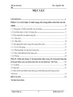  Đánh giá chung về vận dụng khái niệm trọng yếu trong giai đoạn lập kế hoạch kiểm toán của kiểm toán báo cáo tài chính tại  Việt Nam 