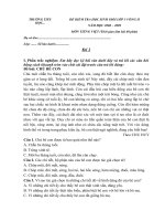 đề thi học sinh giỏi tiếng việt 3- 08-09