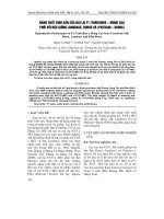 NĂNG SUấT SINH SảN CủA NáI LAI F1 (YORKSHIRE ì MONG CAI) PHốI VớI ĐựC GIốNG LANDRACE, DUROC Và (PIETRAIN ì DUROC)
