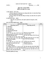 GAtapj làm văn 3 cả năm