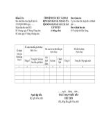 MẪU TÌNH HÌNH TỔ CHỨC VÀ HOẠT ĐỘNG BÁN ĐẤU GIÁ TÀI SẢN CỦA HỘI ĐỒNG BÁN ĐẤU GIÁ TÀI SẢN