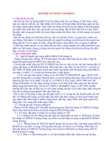 BẢO HỘ AN TOÀN LAO ĐỘNG