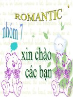 Báo cáo tìm hiểu về  tài nguyên rừng 