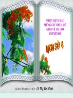 Tiết 13: Nhà nươc Văn Lang