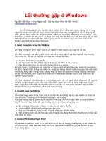 Những lỗi thường gặp ở win