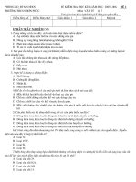 BỘ ĐỀ THI HỌC KỲ LÝ 7