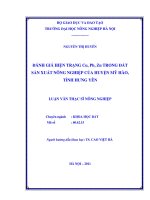 Luận văn đánh giá hiện trạng cu, pb, zn trong đất sản xuất nông nghiệp của huyện mỹ hào, tỉnh hưng yên 