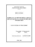 Nghiên cứu cải tiến hệ thống canh tác trên đất ruộng lúa tại huyện điện biên tỉnh điện biên 