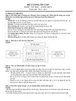 đề cương ôn tập môn tin học thcs 2013