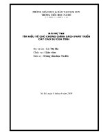 BÀI THI TÌM HIỂU CÂY CAO SU