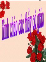 tiêu hóa ruột non