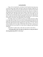 Giải pháp phát triển thị trường tài chính tiền tệ trong nền kinh tế thị trường định hướng XHCN ở Việt Nam 