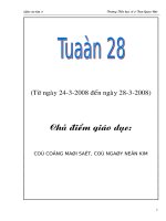 Giáo án lớp 4 tuần 28 Tỉnh Bình Định