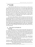 Sáng kiến kinh nghiệm năm học 2008  -2009