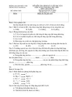 đề kiểm tra HKII toán 6