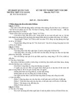 Đề tham khảo ôn thi TN12 Ngữ Văn (2)