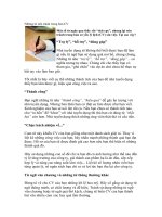 Những từ nên tránh trong bản CV 