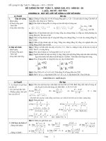 Đề cương ôn toán 11 nâng cao HK2