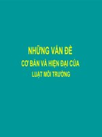 Vấn đề cơ bản của luật môi trường