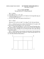 Đề thi HSG toán 4