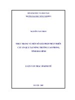 Thực trạng và một số giải pháp phát triển cây ăn quả tại nông trường cao phong, tỉnh hoà bình 