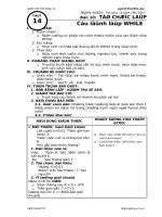 Tiết 14 - Tin học 11