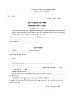 QUYẾT ĐỊNH XỬ PHẠT VI PHẠM HÀNH CHÍNH