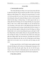 Nghiên cứu tổ chức văn phòng môi giới nhằm nâng cao hiệu quả hoạt động của nhà môi giới bất động sản