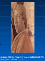 BGDT Phuc hungBoticeli