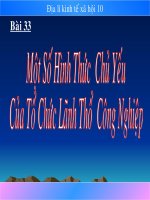 B33 Mot so hinh thuc chu yeu cua to chuc lanh tho cong nghiep
