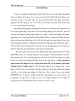 Rủi ro trong tín dụng trong hoạt động cho vay và giải pháp hạn chế  tại chi nhánh Ngân hàng Thương Mại Cổ Phần Nam Á