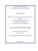 Nghiên cứu loài vi khuẩn ralstonia solanacearum smith gây hại trên một số cây trồng cạn tại vùng hà nội và phụ cận vụ hè thu 2007 và vụ xuân hè 2008 