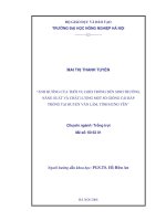 Nghiên cứu của thời vụ gieo trồng đến sinh trưởng, năng suất và chất lượng của một số giống cải bắp trồng tại văn lâm, tỉnh hưng yên 