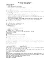 Đề cương ôn tập hóa 11A