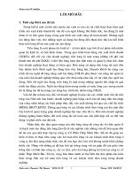 Hoàn thiện tổ chức công tác kế toán tiền lương và các khoản trích theo lương tại công ty cổ phần thép miền bắc 