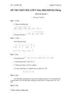 ĐỀ THI CHỌN HSG LỚP 9 Năm 2008 HẢI PHÒNG