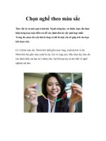 Chọn nghề theo màu sắc 