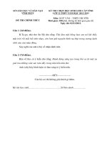 ĐỀ THI CHỌN HỌC SINH GIỎI CẤP TỈNH LỚP 12 THPT NĂM HỌC 2012-2013 Môn NGỮ VĂN - THPT CHUYÊN