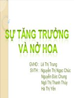 su truong thanh cua hoa