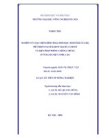 Nghiên cứu đặc điểm hình thái, sinh học, sinh thái của bọ trĩ thrips palmi karny hại dưa chuột và biện pháp phòng chống chúng ở vùng hà nội và phụ cận 